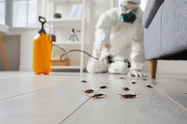 Commercial Kitchen Cockroach Control in Wrightstown